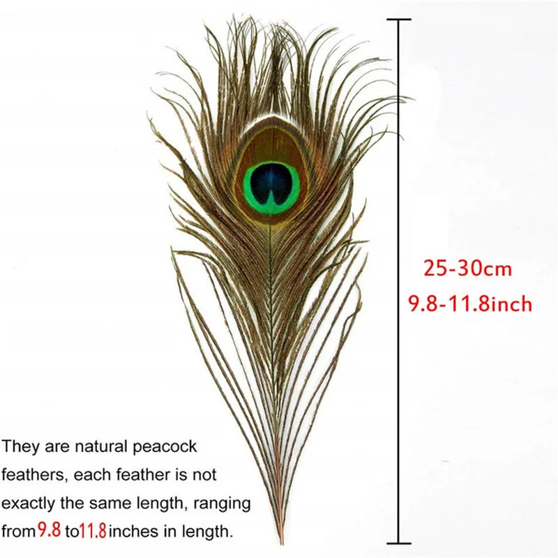 

10 Pieces Real Natural Peacock Feathers for Craft Halloween Costume Bridesmaid Corsage Christmas Wreath and Home Decoration