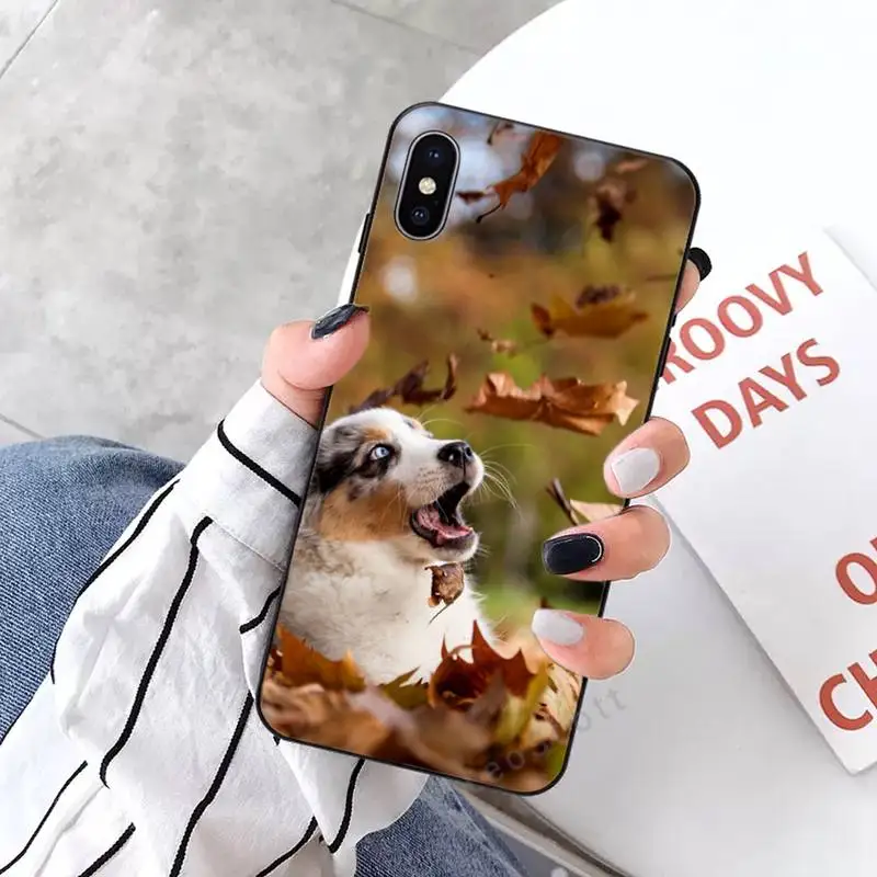 

Border Collie Dog Breed Phone Case for iPhone 11 12 mini pro XS MAX 8 7 6 6S Plus X 5S SE 2020 XR