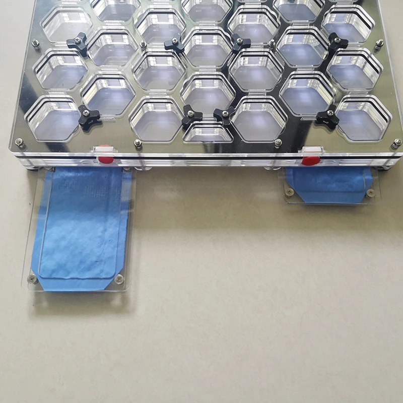 Ячеистая муравьиная гнездо акриловое плоское увлажняющий муравьиный цех