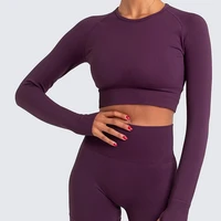 womens seamless long sleeve yoga top fitness shirts solid t shirts running gym shirts breathable quick dry top feamle 2021 new