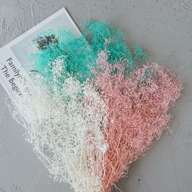 

50g Real Natural Fresh Forever Dried Preserved Gypsophila Flower, Dry Gypsophile Flower Bouquet For Home Decor DIY Baby's Breath
