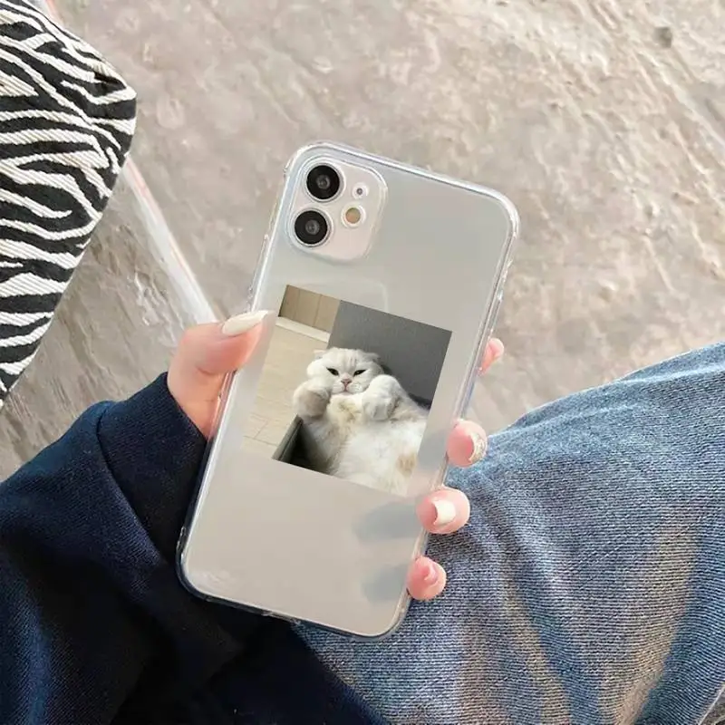 

cat Phone Case Transparent for iPhone 12 11 mini pro XS MAX 6 6S 8 7 Plus X 5S SE 2020 XR