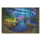 Наборы для вышивки крестиком с принтом ночной Арктики, наборы для вышивки 11CT 14CT, поделки ручной работы сделай сам, украшения для дома, настенные картины