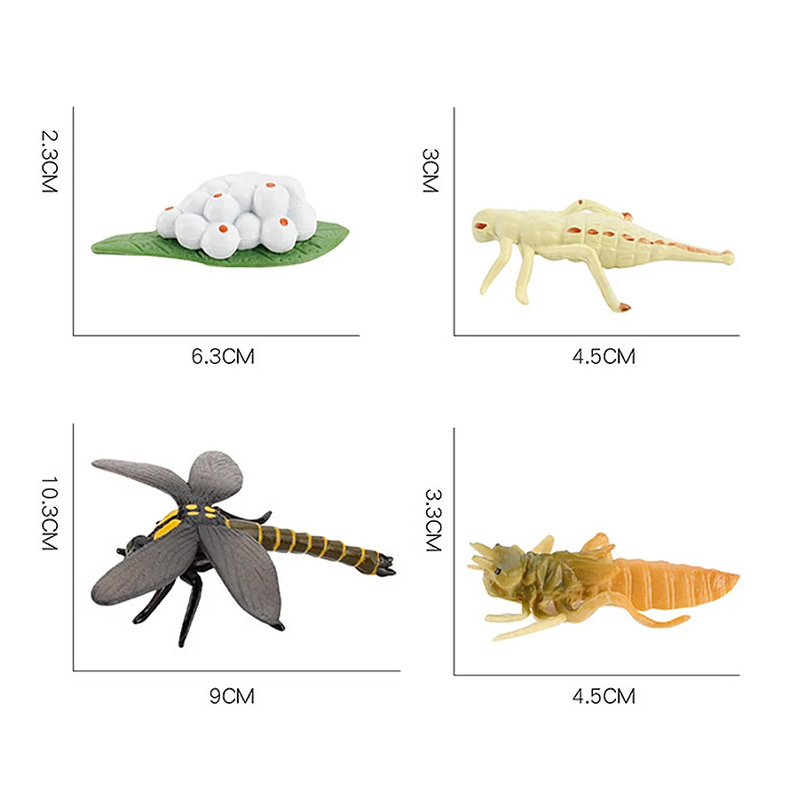 

Simulation Action Figure Toys Animal Insect Grown Cycle Dragonfly, Grasshopper Life Cycle Figurine Animals Model Educational Toy