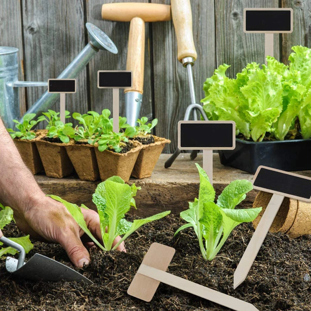 

20PCS Mini Wooden Chalkboard Plant Markers Creative Blackboard Signs Garden Flowers And Plants Tags Garden Decoration Tools