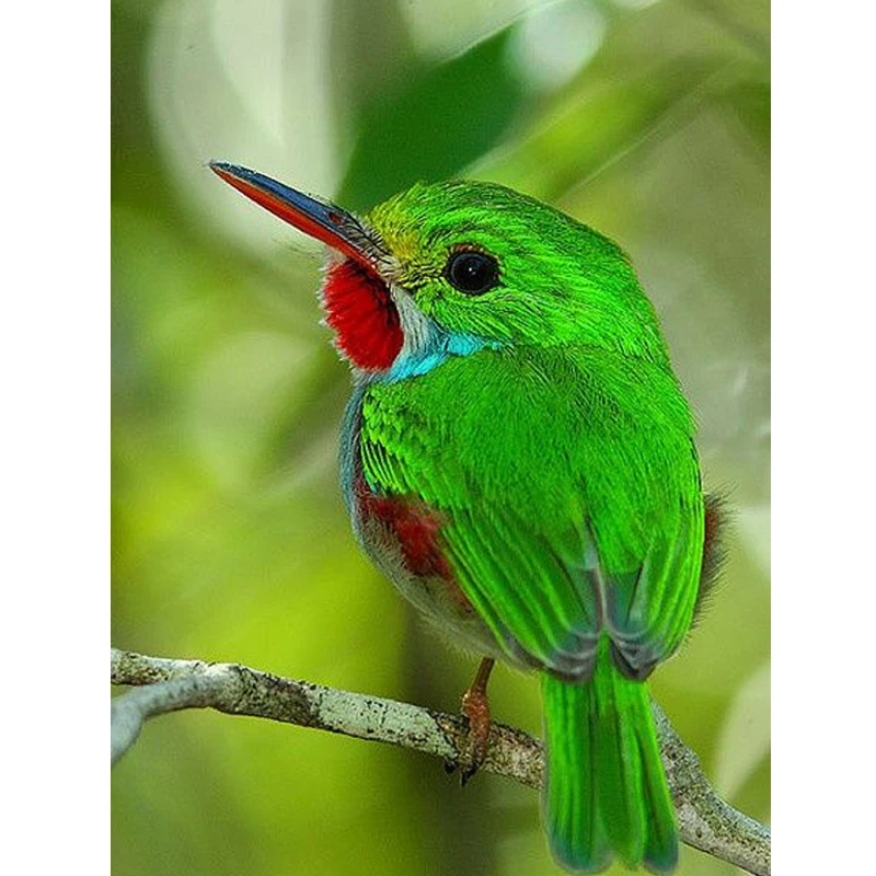 Полный Круглый зелеными птицами узоры алмазов картина дом декоративная