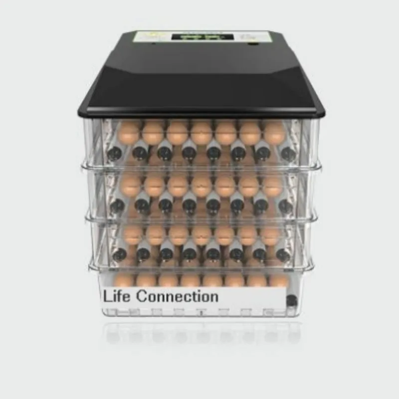 

Инкубатор для яиц с цифровым контролем температуры, домашний термостат для инкубатора на 48 яиц с полным нагревом, 12 В/220 В
