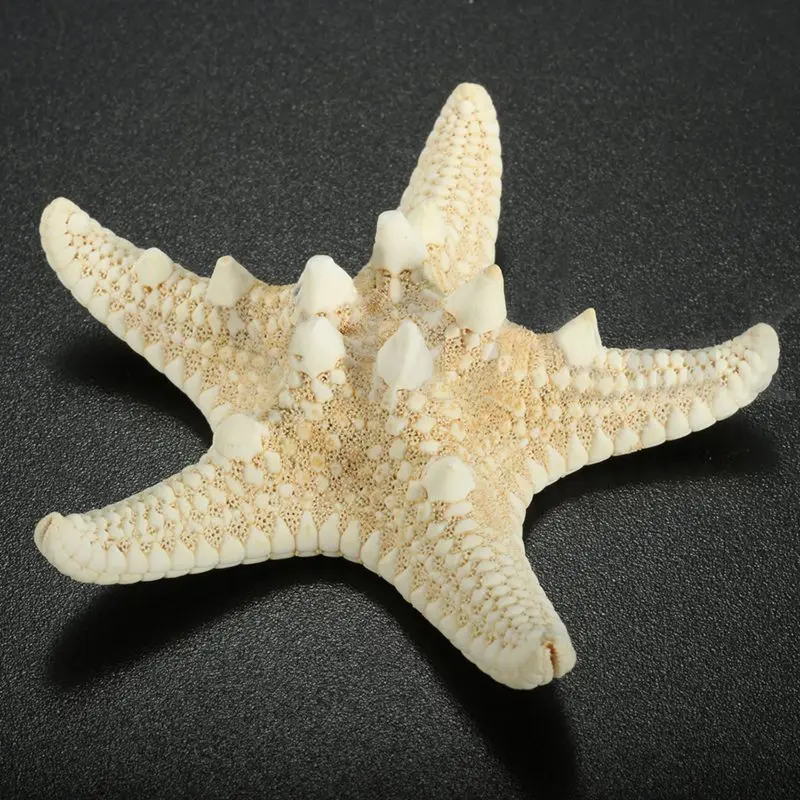 

5pcs/lots crafts white bread sea shell starfish, fashion home decorative handicrafts