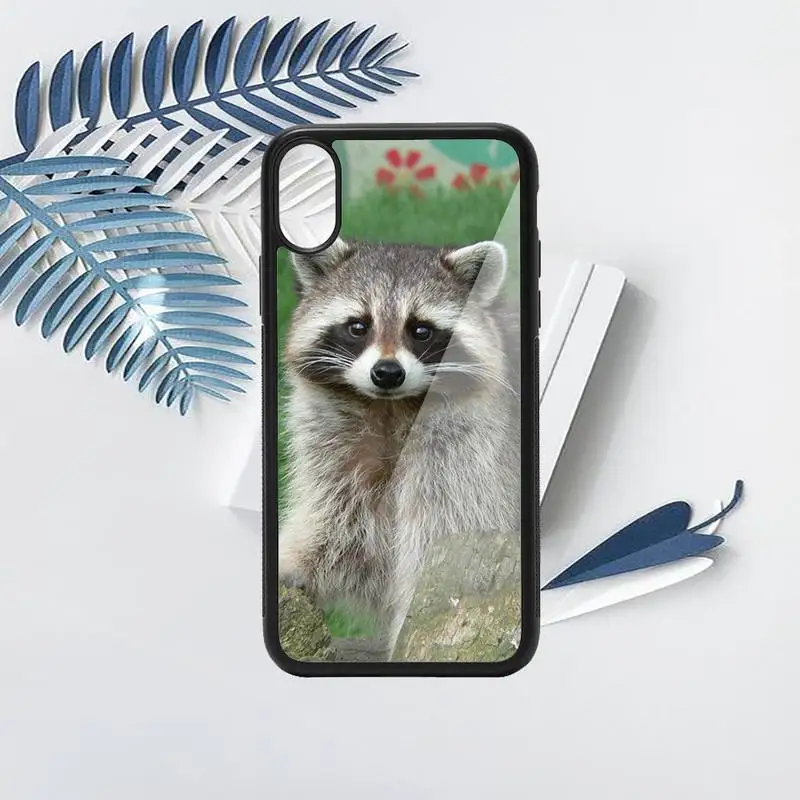 

animal Raccoon Phone Case TPU For iPhone X XR XS 11 12 mini Pro MAX 6 6S 7 8 Plus SE 2020