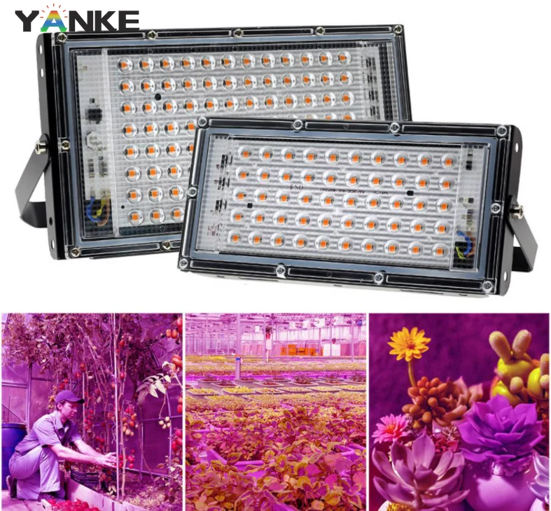 

220V 50W 100W IP42 SMD2835 LED Grow Light Full Spectrum Light For Greenhouse Hydroponic Flower Seeding Phyto Lamp With EU Plug