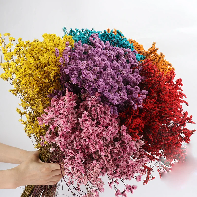 

Crystal Grass Bouquet NaturalDried Preserved Flowers Nail Art Flowers Material DIY Craft Supplies Bookmarks Living Room Decor