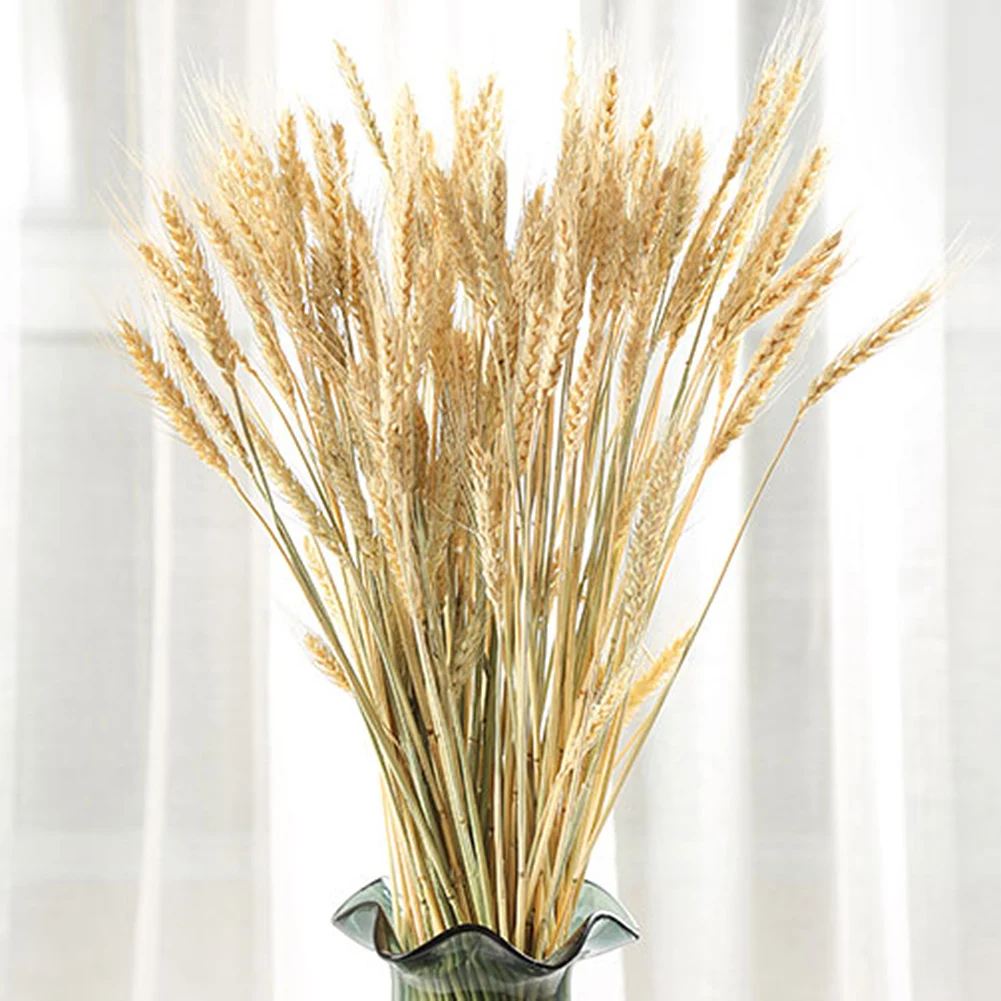 Wheat Bouquet Wedding Party Decoration DIY Craft Scrapbook Home Garden Natural Dried Flower Ears 100pcs Autumn Decor | Дом и сад