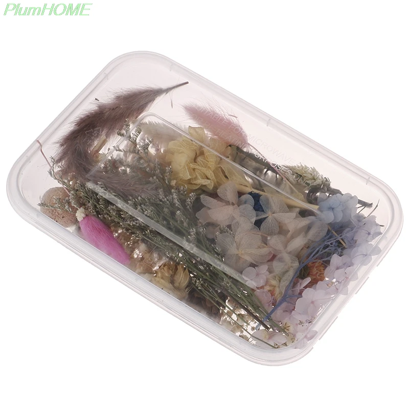 

1 Box Real Dried Flower Dry Plant For Aromatherapy Candle Resin Pendant Necklace Jewelry Making Craft DIY Accessories Decoration