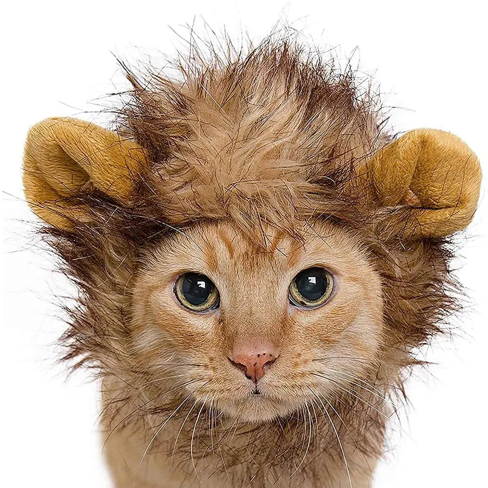 Забавная одежда для домашних животных кошек искусственный костюм Лев