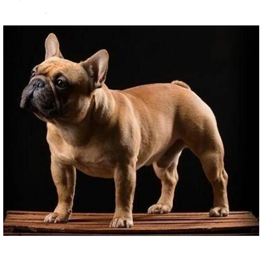 5D DIY Алмазная картина полный квадратный Круглый Вышивка крестом Французский