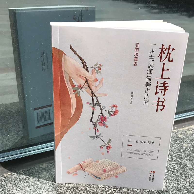

Newest Pillow Poem Book Appreciation of Ancient Poetry, Reading A Poem, Telling A Story Classic Poetry Selection Books
