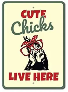 

Metal Tin Sign Cute Chicks Live here Metal Tin Sign for Wall Decor 8x12 Inch