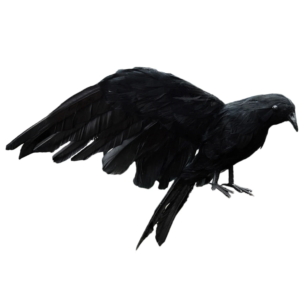 

Stuffed Animals & Plush