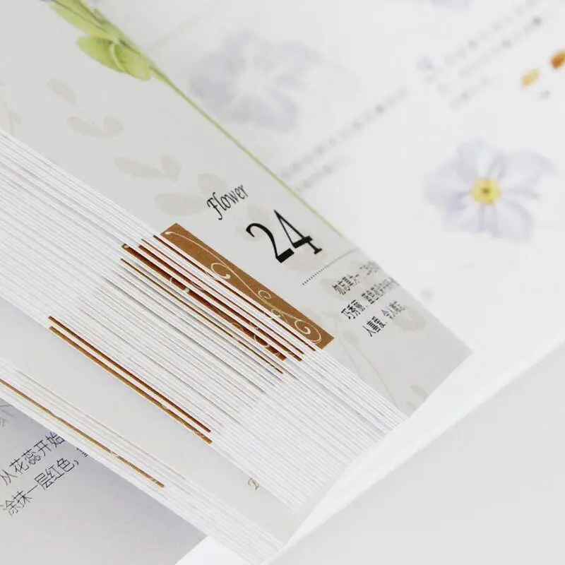 

Flowers Drawing Books Basic Tutorial Adults Learn Pencil Painting Art Flowers Manga Drawing Teenagers Sketch The Books Libros