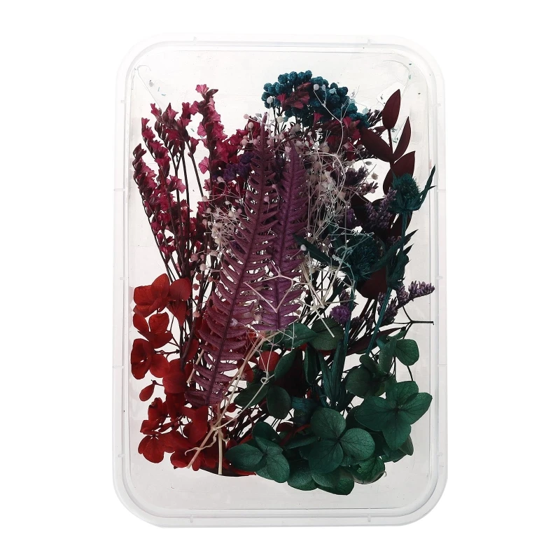

1 Box Real Mix Dried Flowers for Resin Jewellery Dry Plants Pressed Flower L9CD