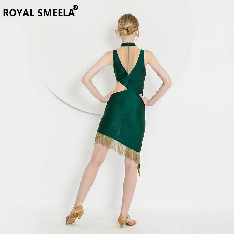 

New Women's Latin Dance Dress Performance Dance Ballroom Dance Costume Tango Dress Cha Cha Samba Dress V-neck Sleeveless Dress