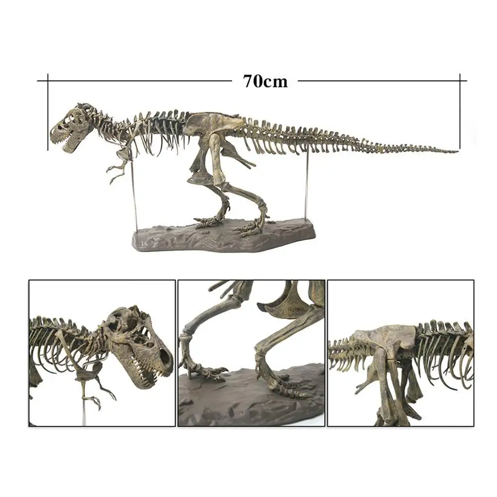 Динозавр 4D собранный скелет динозавра детская игрушка Overlord Dragon Fossil Скелет моделирование животных модель украшения