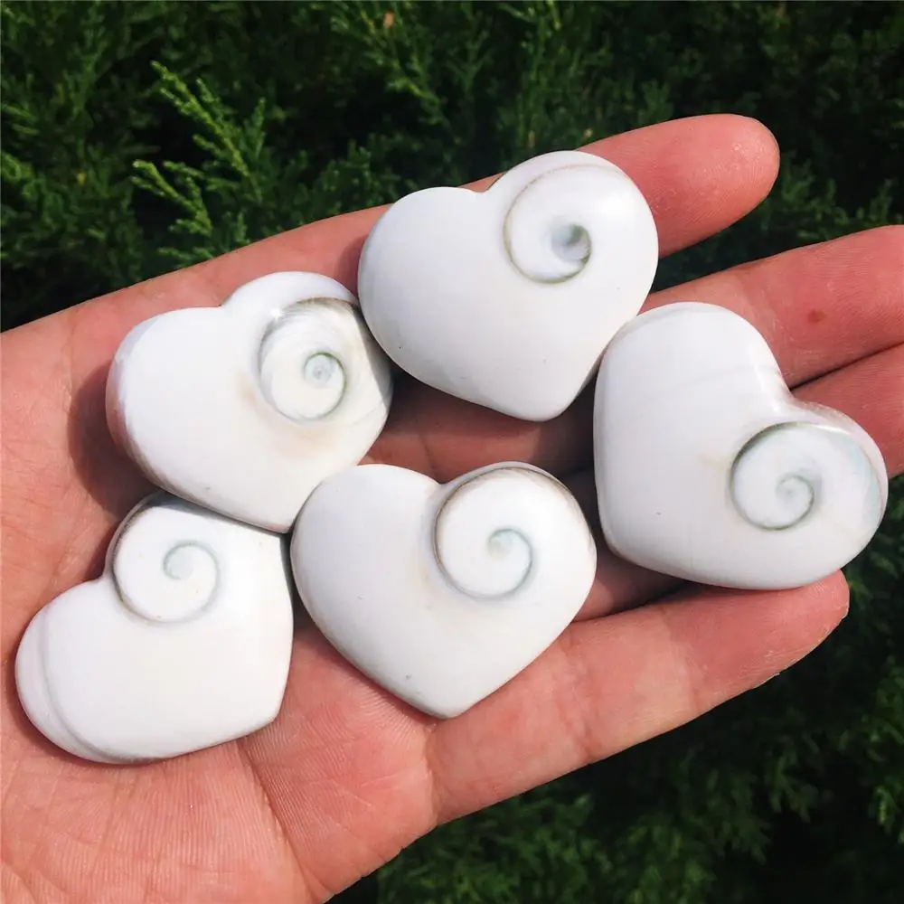 5 шт. натуральная ракушка от солнца с кристаллом в форме сердца форма улитки из