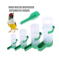 bird drinking feeder parrot automatic water feeding feeder