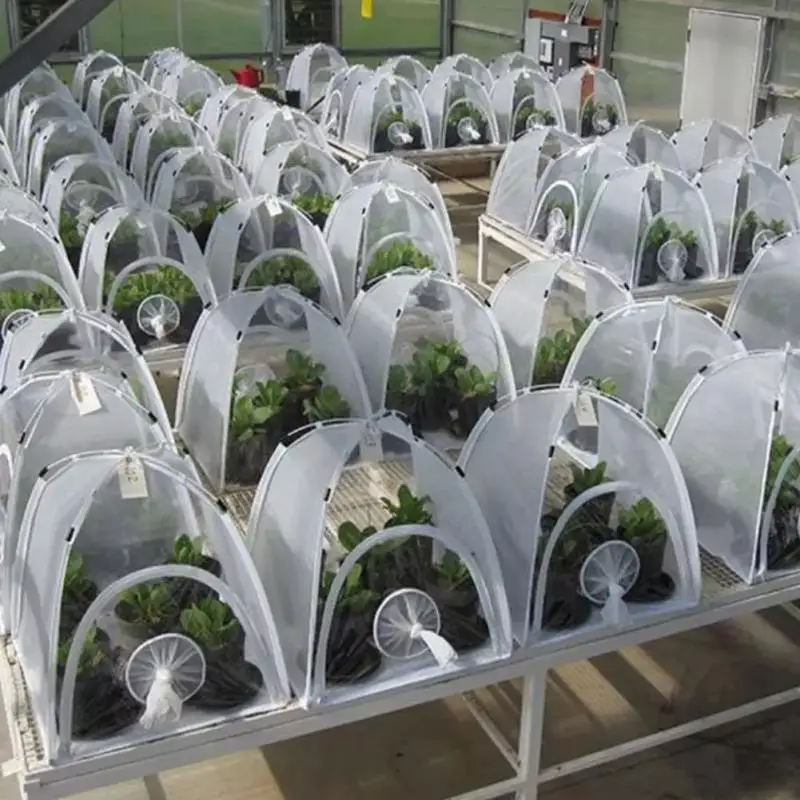 Изоляционный садовый навес для выращивания растений складной мини прозрачный