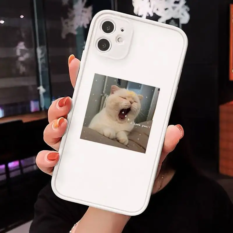 

cat Phone Cases Matte transparent For White iPhone 12 Mini 11 Pro XR XS Max 7 8 Plus X Back Cover