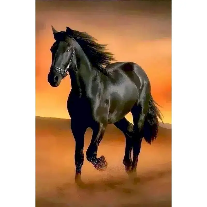 

RUOPOTYy Painting By Numbers Animals for Adults DIY Frameless 60X75cm colorful Horse pictures by numbers Home Decor Gift