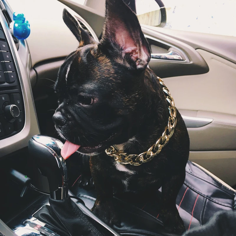 Модные ошейники для собак металлические аксессуары плюшевый бульдог Золотая