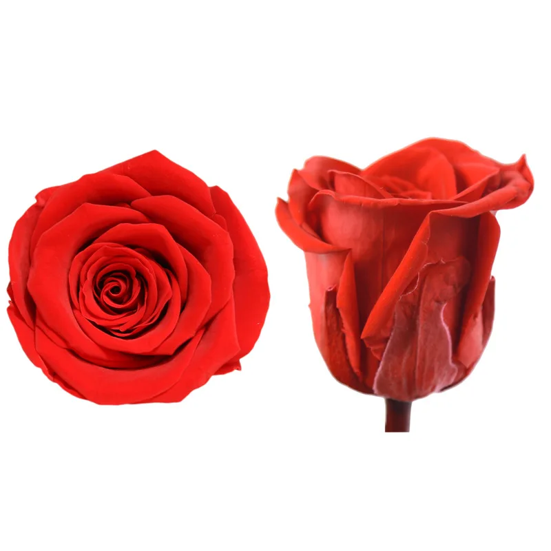 8pcs/box Artificial Flowers Rose 4-5CM Preserved Eternal Roses Box Newyear Valentine's Gifts Forever Everlasting Level A | Дом и сад