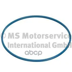Кольцо Уплотнительное Бензонасоса Citroen Peugeot Pierburg арт. 332038000 | Автомобили и