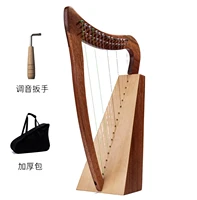 kyle leiya 15 string instrument lira small harp