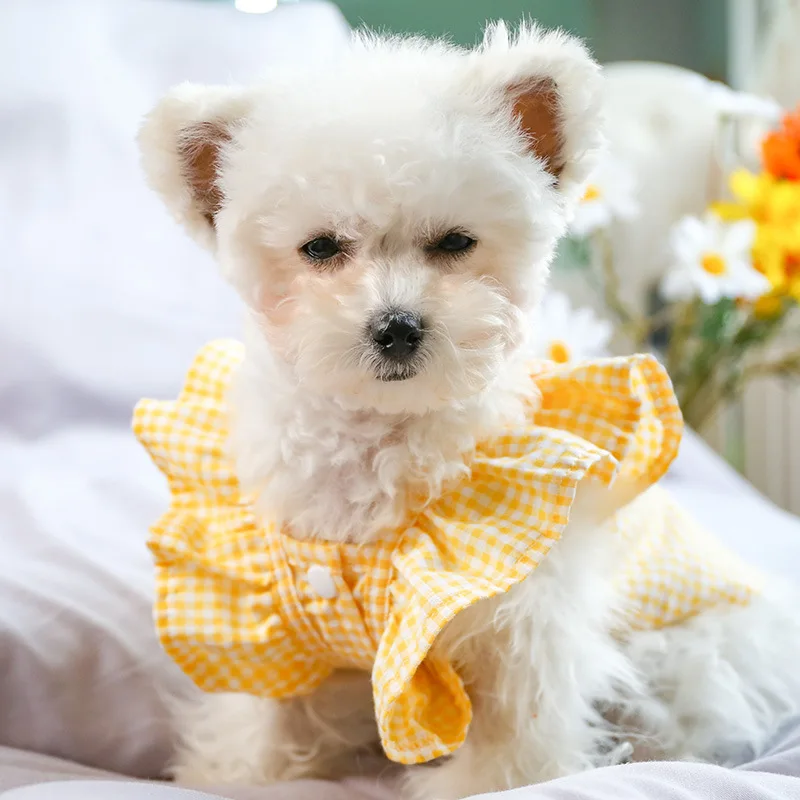 

Yellow Color Plaid Design Chihuahua Dog Dresses Pet Clothes for Spring and Summer Yellow Plaid Bow Decor Pet Sweatshirt