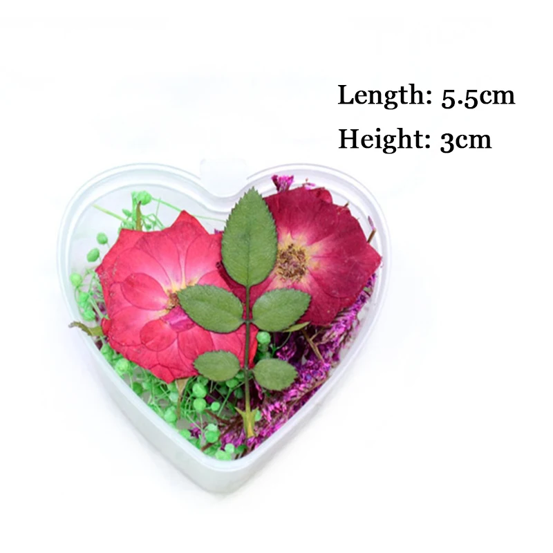 1 коробка естественных фаст сушеные цветы лист красочная красота настоящая Флора