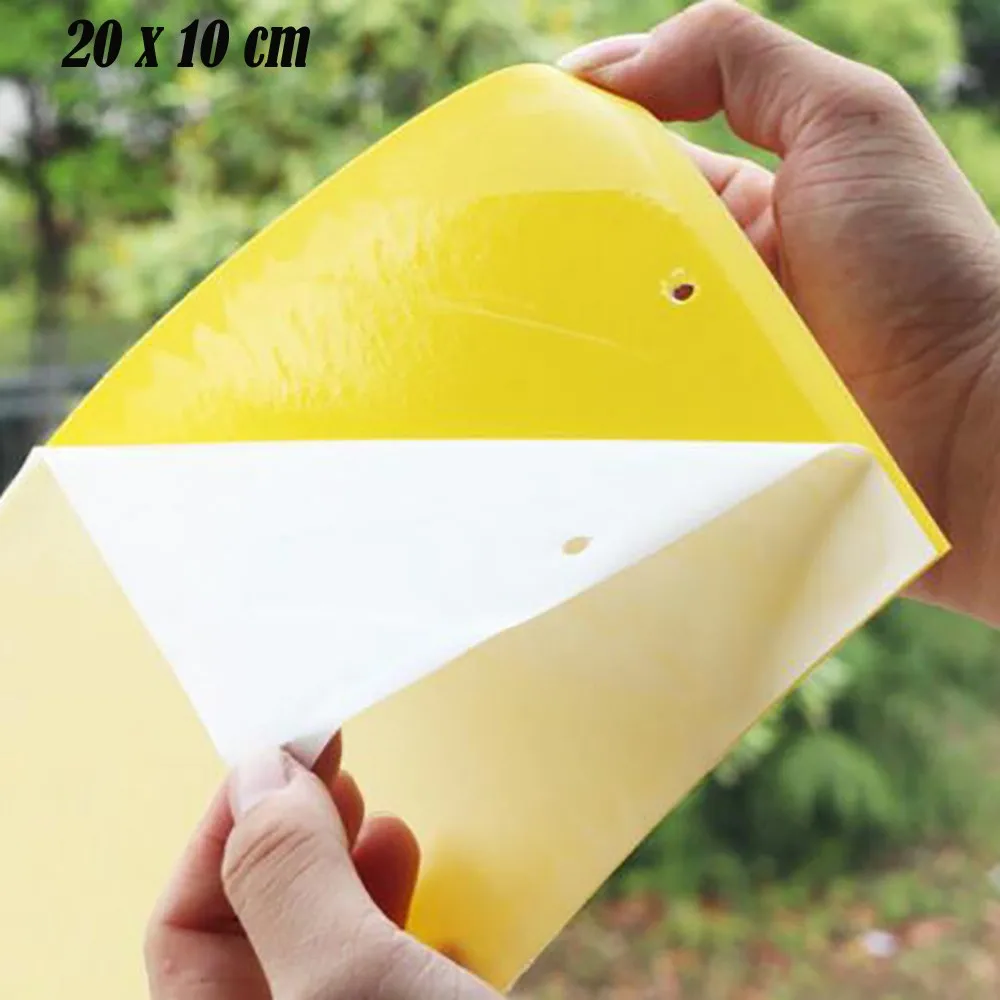 50 шт. доска для мыши липкая ловушка для мышей Высокоэффективная ловушка для грызунов крыс змей жуков ловушка для борьбы с вредителями отвергать нетоксичные экологически чистые