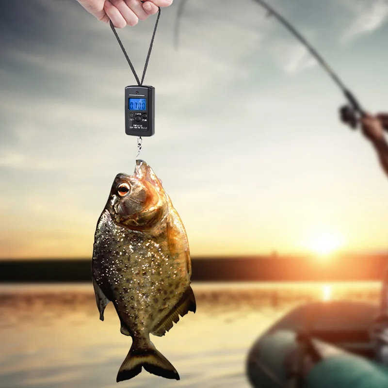 Весы электронные светодиодсветодиодный с крючком для багажа 40 кг/50 кг|Весы| |