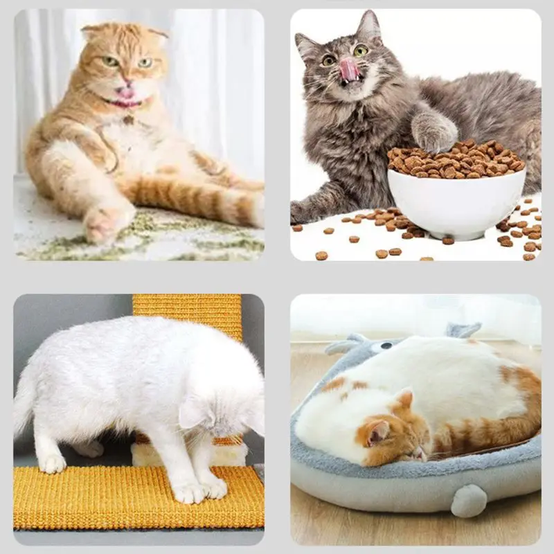 

Natural Silvervine Powder Organic Cat Catnip Cleaning Teeth Kitten Cat Snacks Increased Appetite Healthy Supply Relieve