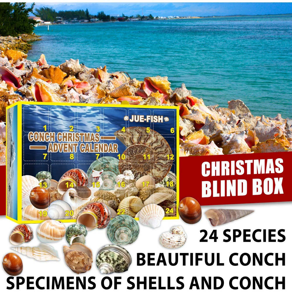 

Celebrate Merry Christmas Calendar Surprise Conch blind box with 24 Different Conch for Home Xmas Party Decoration New Year Gift