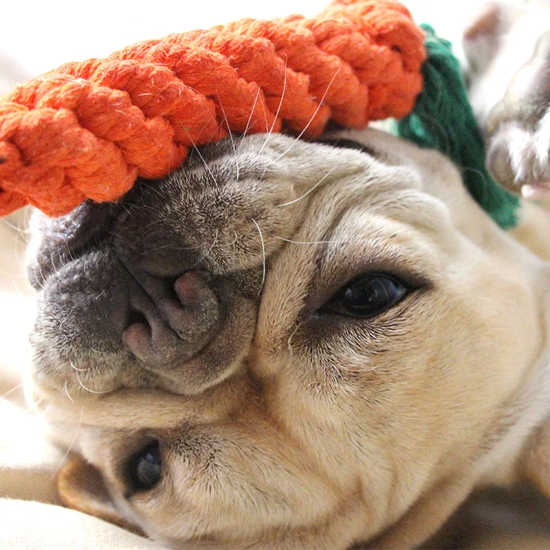

Pet Molar Cotton Rope Toy Cute Carrot Shape Dog Chewing Toy Outdoor Tossing Game Puppy Teeth Cleaning Cat Stick Dog Supplies