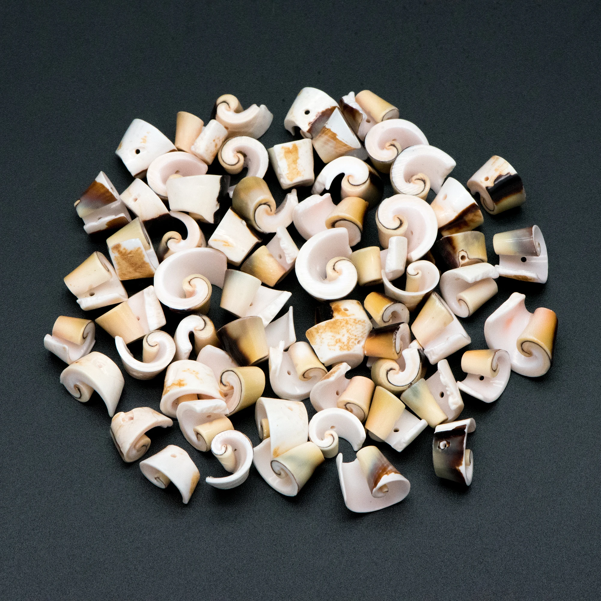 

Natural Shell Beads, Irregular Shell Pendants, Sea/ Beach Jewelry Charm Beads (#V1361) 50 beads per strand