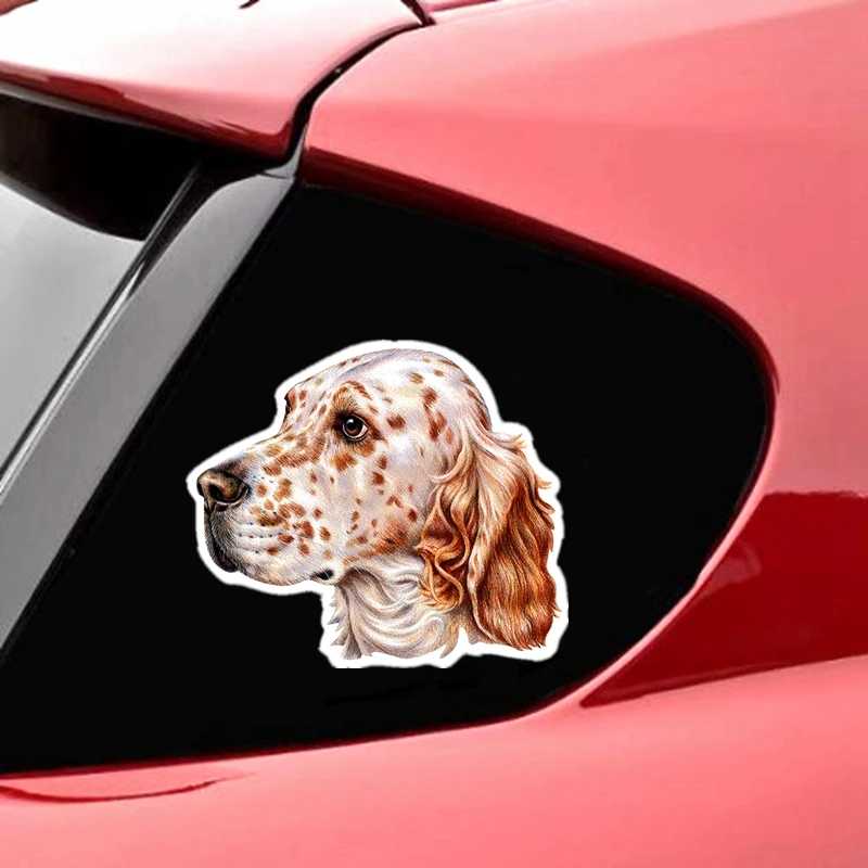 S40213# Печатный самоклеющийся наклейки на авто Английский сеттер