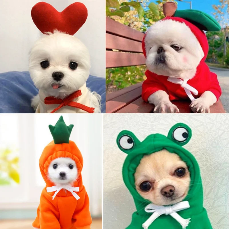 New Pet Clothes In Autumn and Winter Teddy Cat Dog Clothes Small and Medium Dog Fleece Sweater Cartoon Clothes Cat Dog Costumes