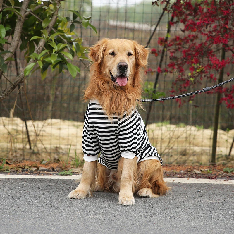 Футболка для собаки одежда на весну и лето футболка золотистого ретривера костюм