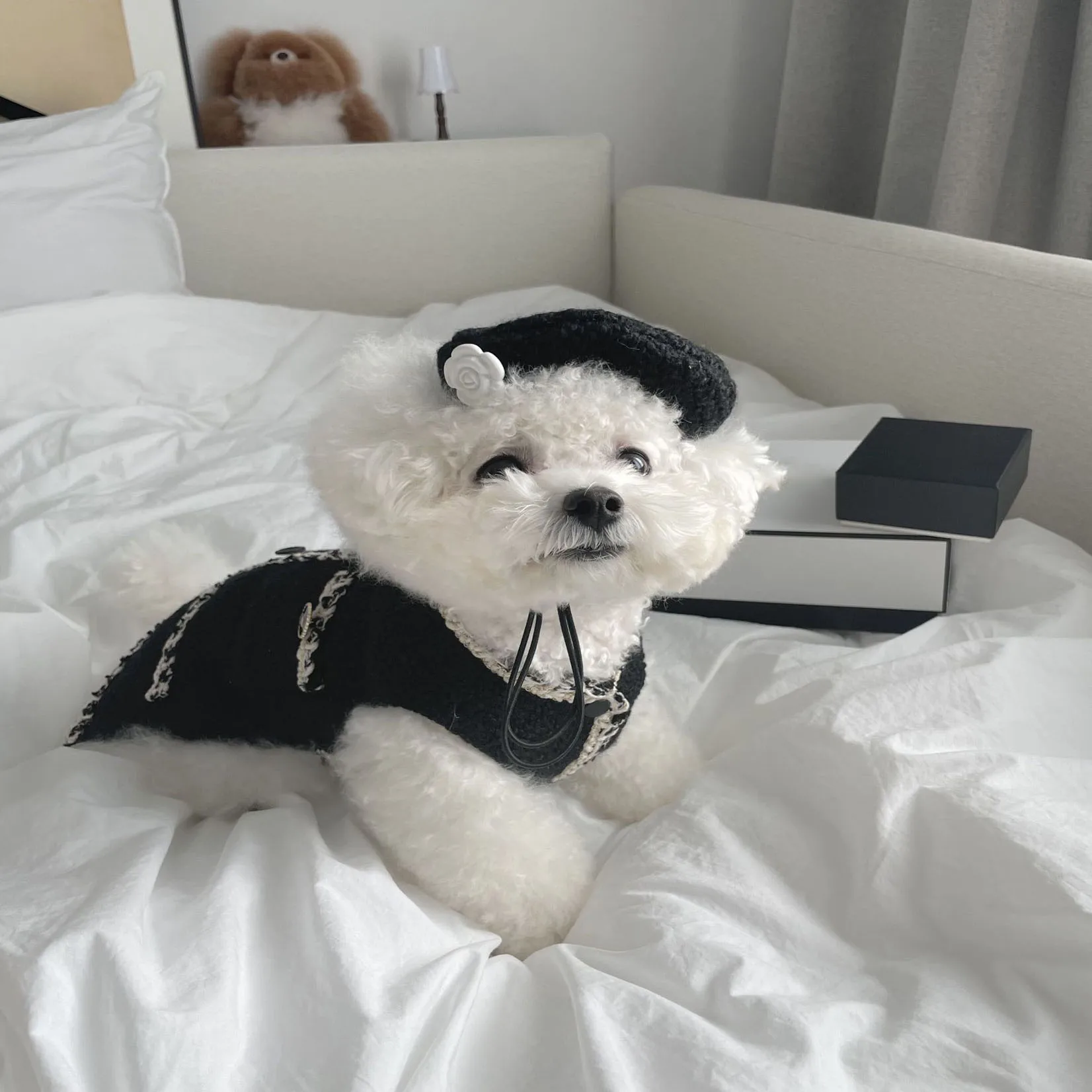 Одежда для домашних животных с мелким запахом