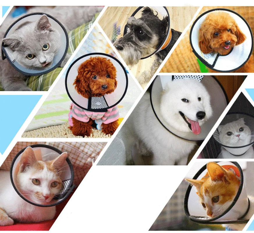 Прозрачный защитный ошейник для собак с конусом предотвращения укусов и кошек