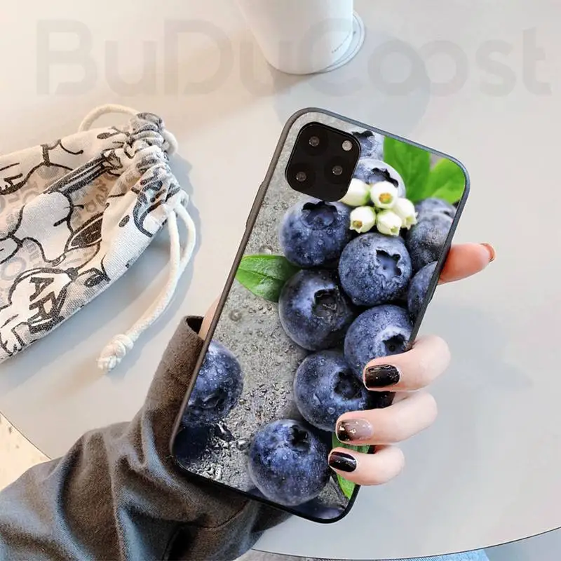 blueberry fruit phone case for iphone 11 7 case for iphone 11 pro max x xs xr xs max 8 7 6s plus 5 se case free global shipping