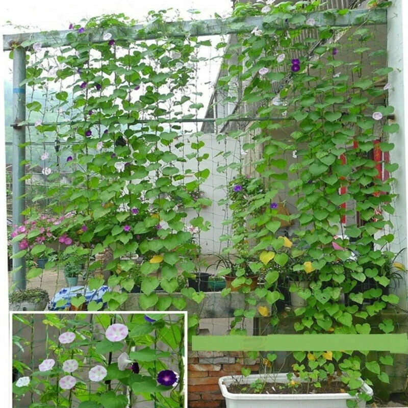 

Newly Plant Trellis Netting Plant Support for Climbing Plants Garden Vines Trellis Net VA88